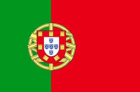 Portuguese flag.png.png