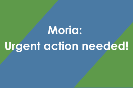 Letter to the European Commission - Moria: Immediate action needed!