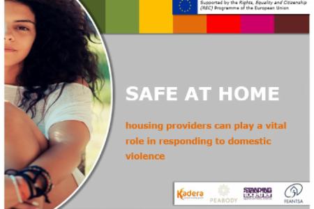 Safe at Home- Including Housing Providers in Tackling Domestic Violence (2017-2018)